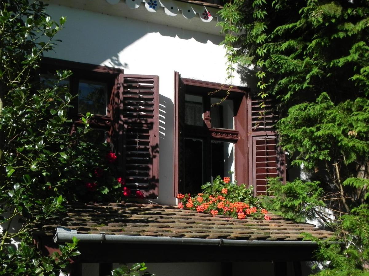 Hotel Iedera Casa De Familii 1 Pianu de Sus Exterior foto